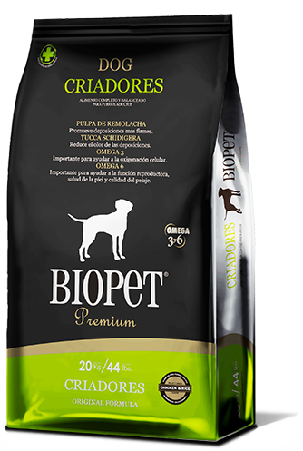Perros Adultos